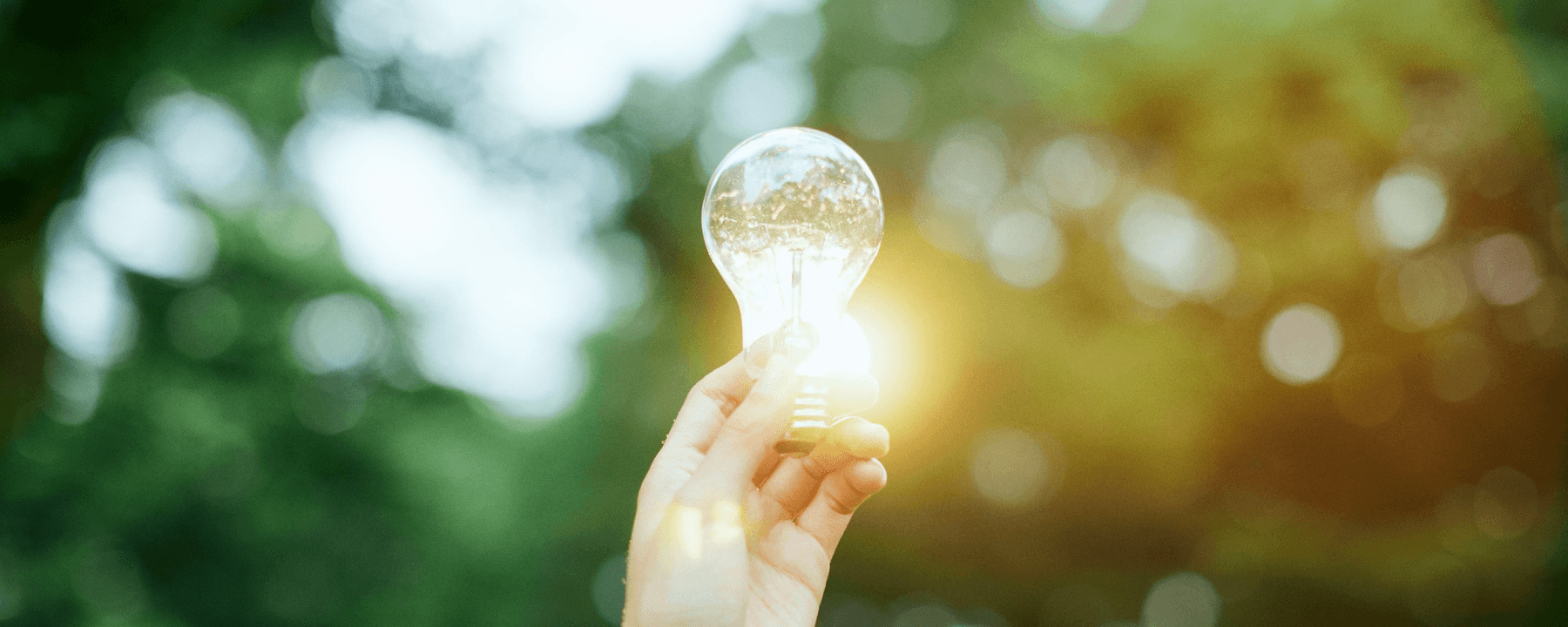 Empowering Sustainable Growth