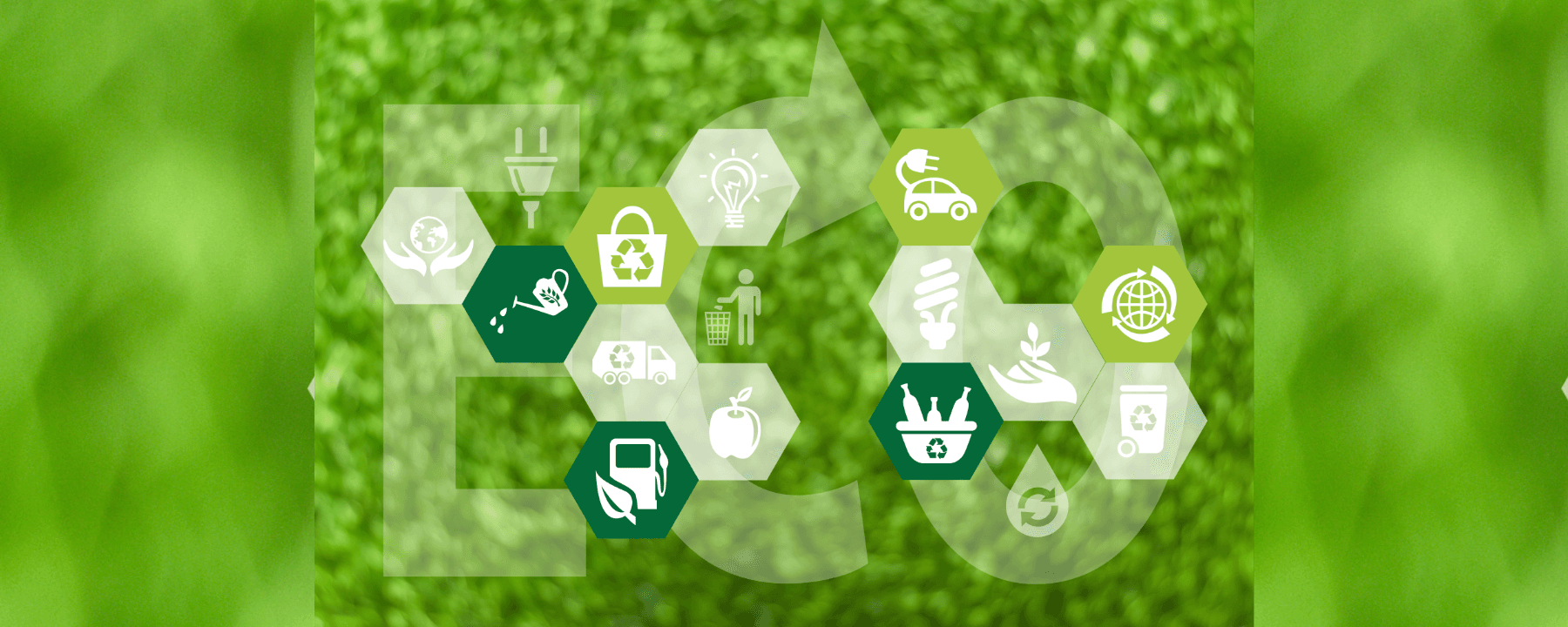 Navigating the ESG Landscape