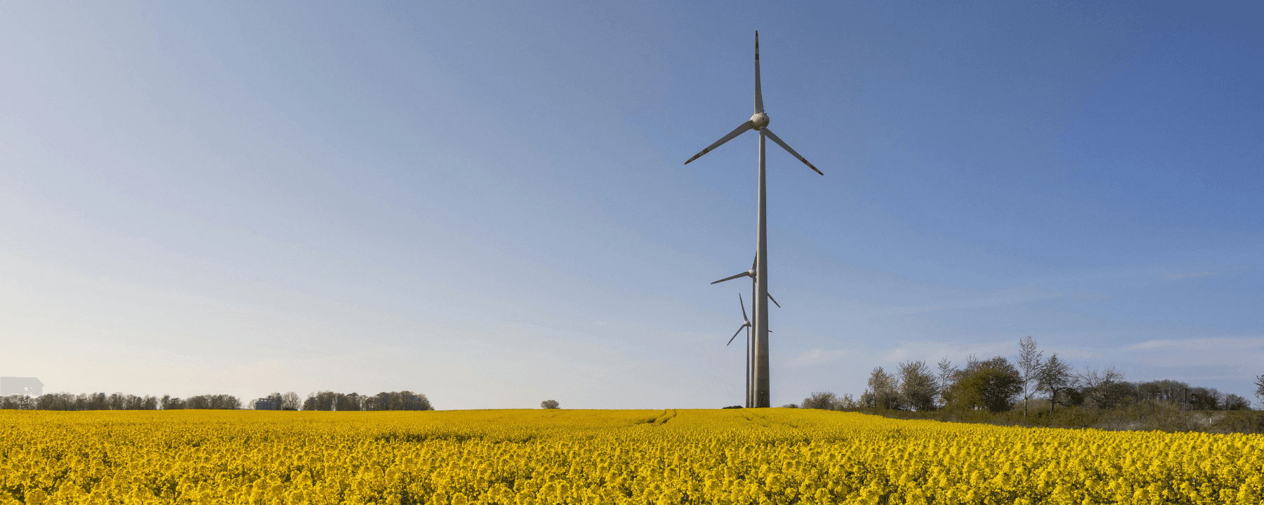 Driving Climate Action