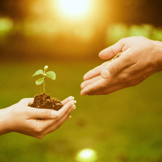 Diverse team working on a project